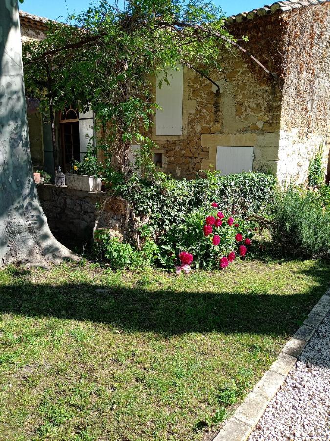 Le Mas Des Flaneraies Bed and Breakfast Althen-des-Paluds Εξωτερικό φωτογραφία